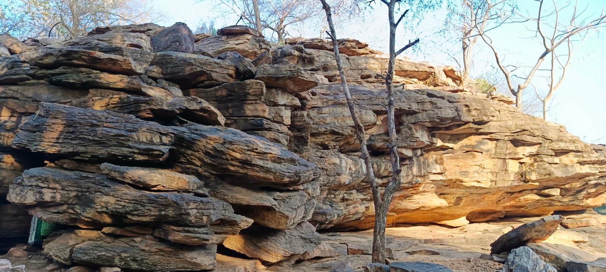 فندق Gandhisagar Forest Retreat Gurla المظهر الخارجي الصورة