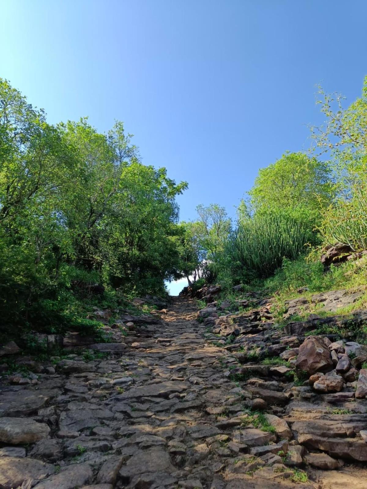 فندق Gandhisagar Forest Retreat Gurla المظهر الخارجي الصورة