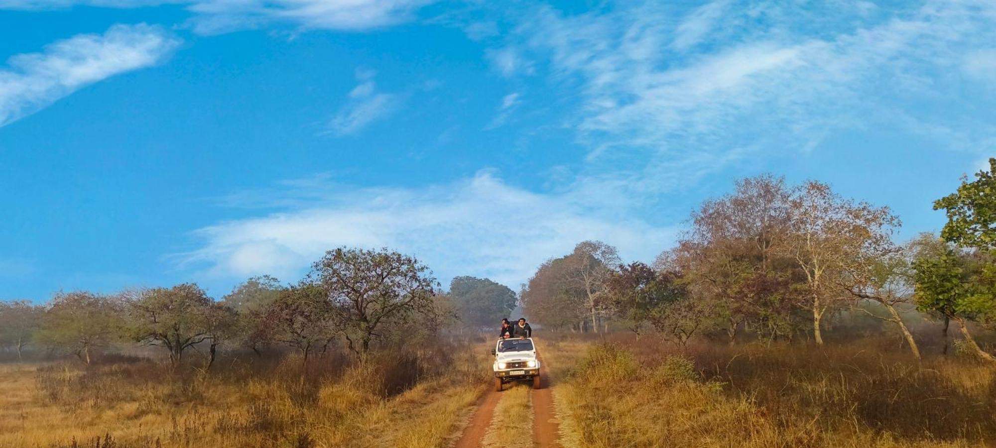 فندق Gandhisagar Forest Retreat Gurla المظهر الخارجي الصورة
